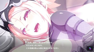 The Dark Knight Lily: A Sexual Adventure