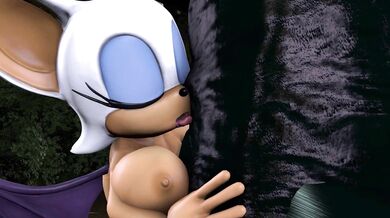 The Dark Knights Secret Night with Rouge the Bat