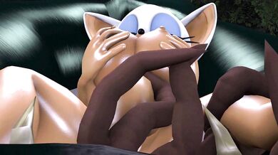 The Dark Knights Secret Night with Rouge the Bat