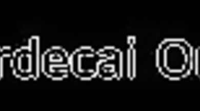 The Insect Queen and her Buggy Buddies: A Hentai Adventure!