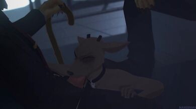 The Shishigumis Sensual Dominance