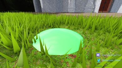 Slippery Smiles: A Slug Love Story