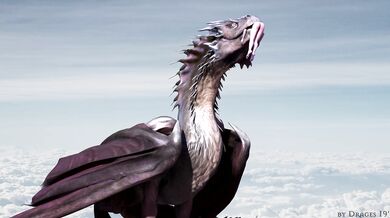 Tail of the Dragon: A Soft and Voracious Adventure