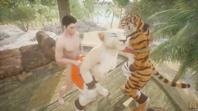 The Himalayan Forest: A Wild Feline Threesome
