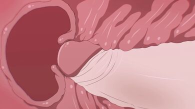 Happy Birthday Noelle Silva [TheAmazingGambit]: The Lusty Lesbian Adventures of a Sexy Babe and Her Girlfriend