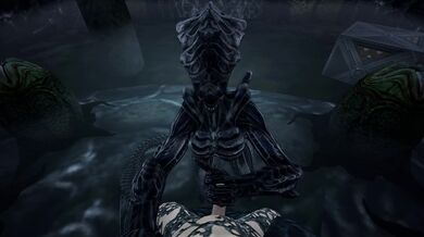 Invasion of the Booty Snatchers