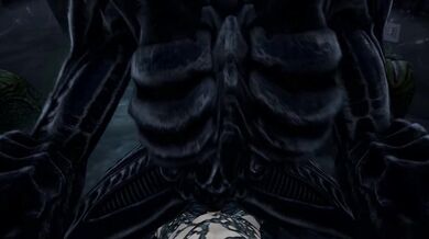 Invasion of the Booty Snatchers