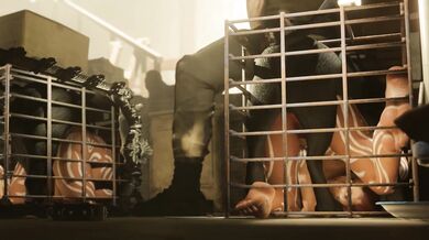 Mom and Her Furry Little Cubbies: Sheva & Panthers in the Making (zmsfm)