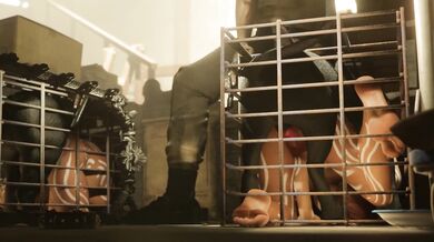 Mom and Her Furry Little Cubbies: Sheva & Panthers in the Making (zmsfm)