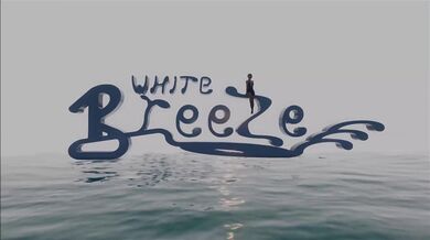 My Secret Love Affair: Confessions of a Young Librarian