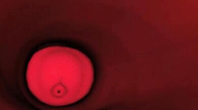 Penetrating the Doll, Carol Tea gets Sodomized by Flex on a Raining Day!