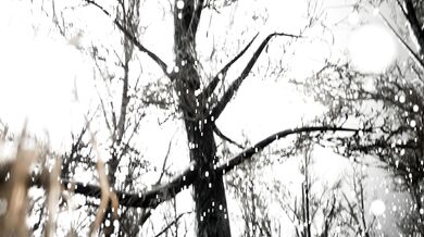 Snow Queens Winter Frolic with Princesses Elsa and Anna