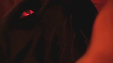 Mikes Jungle Adventure: An Exploration of the Wildlife