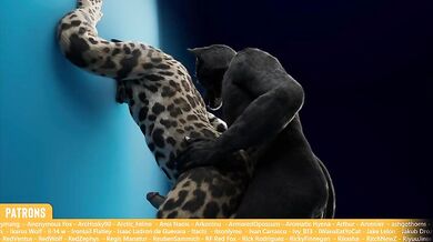 Smutty Jaguars Make Hot Stuff for Monthly Clip #10