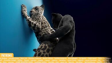 Smutty Jaguars Make Hot Stuff for Monthly Clip #10