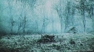 Unleashing the Dark Desires of a Cursed VHS Tape with IlluXXXtrandy