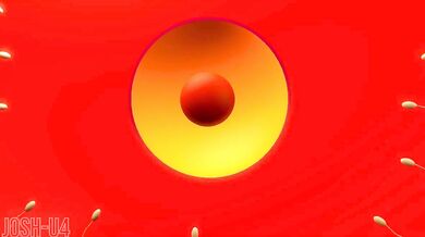 The Mature Lady and The Young Girl - A Comparative Analysis of Two Loons In Love