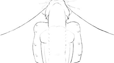 Breeding Futa Queens with Huge Cocks - Male Blowjob Compilation