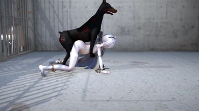 My dog is a good boy but he gets very excited when he sees other dogs on walks, sometimes he even tries to hump them!