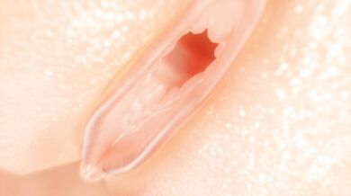 Ultragorgons Ultimate Anal Vore Fantasy With Dehyana and Candace (Hentai Porn Video)