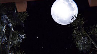 The Breeder and the Princess!: A Royal Hentai Adventure!