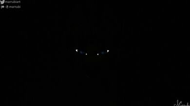 The Feline Claws of Desire - A Sensual Adventure in the Forest