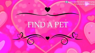 Unleash your inner animal with a new furry friend!