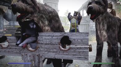 A Tiger in the Mansion: Episode 4 Part 2, with watermark, at 1080p resolution