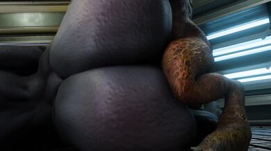 The Hentai Breeding Program of the Sangheili or Conquered and Impregnated: The Captive Sangheili Porn Video