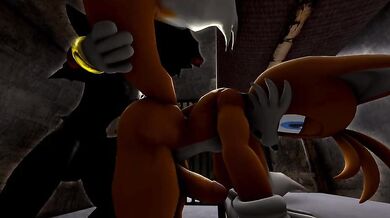 The Naughty Shadows Tail Fucks