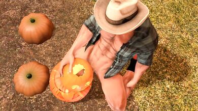 Rough and Ready: The Ranch Hand