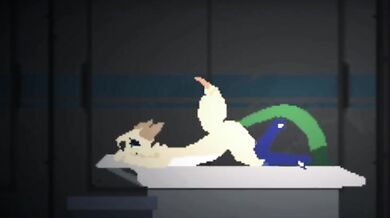 Crazy Sex Adventures: Dripping, Blowjobs and Scissoring - All Scenes Unlocked!