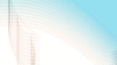 The Star-Covered Tentacle Butterfly