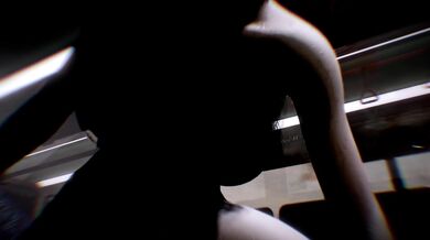 Ride the Eagle Wind: On the Last Tram, I was Assaulted by a Drunken Nympho Sitting on the Opposite Seat