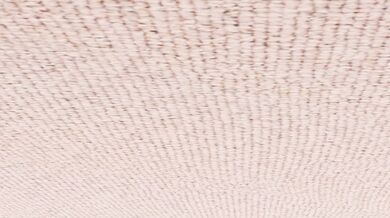 Rough Sex with Yukino at Gravure Studio: An Unforgettable Experience