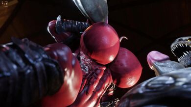 One Night Stand at the B&B, with a Stranger from Out of Town