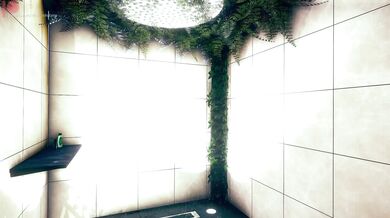 The Private Gym - Futanarian Shower with Lucky Lynx