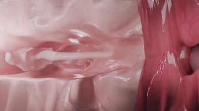 The Beauty of Clopician Human on Pony (X-Ray): A Hentai Adventure