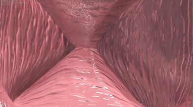 Ra*pe and Tor*ture: The Sexual Abuse of Haruka01YAO