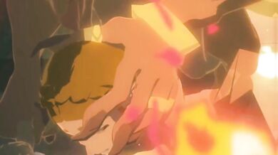 The Legend of Zelda: Used By Ganon (Sable Serviette)