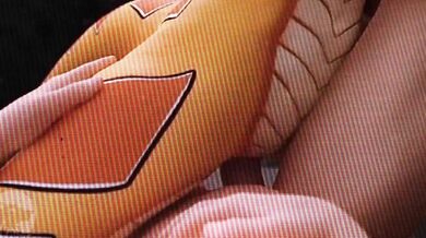 Furry Romance: A Tail of Love