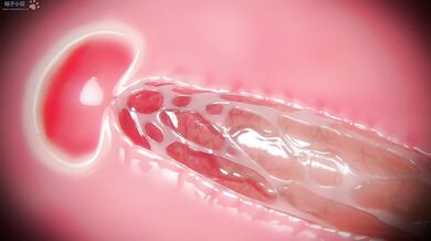 The Experiment Part 4 [Miki3Dx]