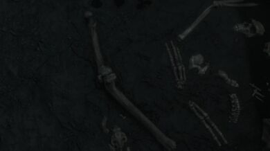 The Rite - A Short Story of Lust and Desire