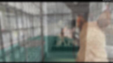 The A club of the citys perverts