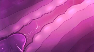 The most mind-blowing compilation of disembodied fucking you have ever seen!