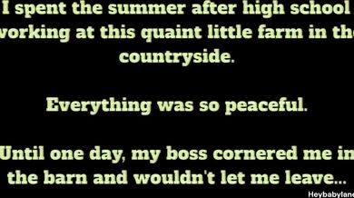 The Futa on Male Farmhand: A Tale of Sexual Discovery and Exploitation