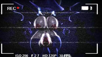 In the Shadows of the Enchanted Woods, a Horny Forest Witch Awaits to Fulfill your Darkest Fantasies