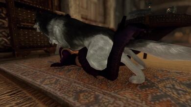 The Adventures of Sordi the Werewolf: A Hentai Fantasy