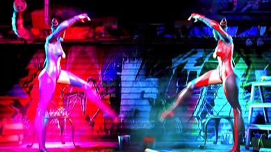 The Karate Hentai Masters Video by Kercec