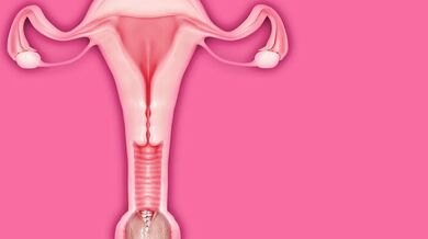 The Palefire Chronicles: A Tentacle Love Story